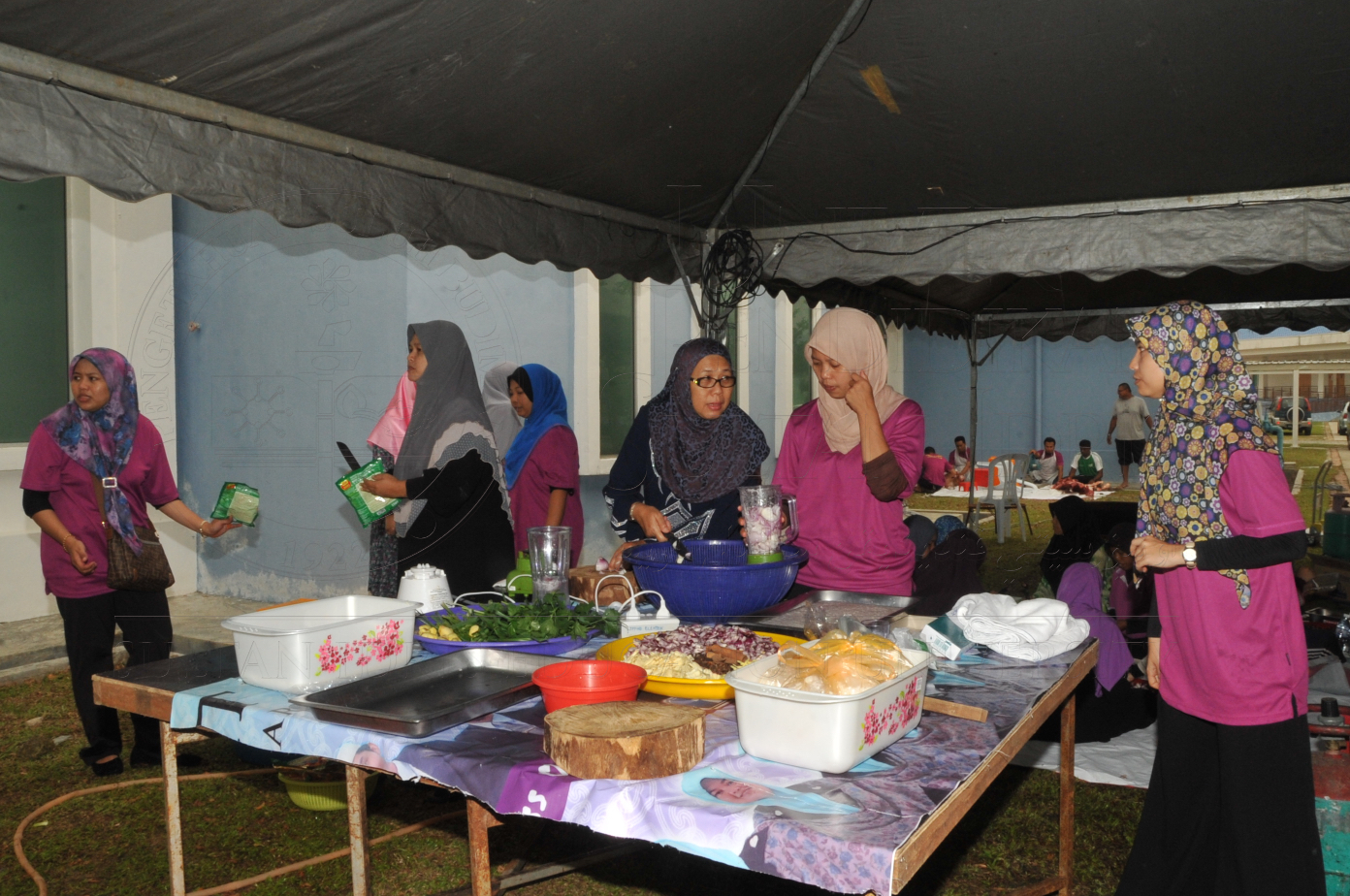 PRO15 150 KORBAN HAS 6914